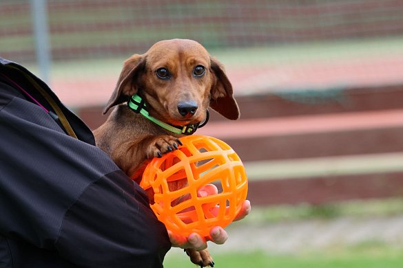 The process of socialization