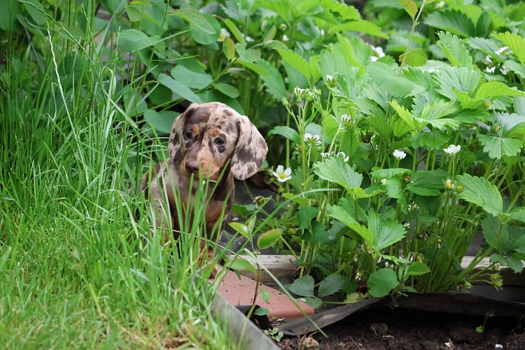 What do you ask us a lot?