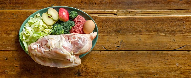 What are we feeding the dogs?