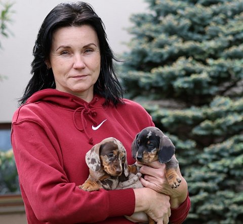 Wondering who we are?