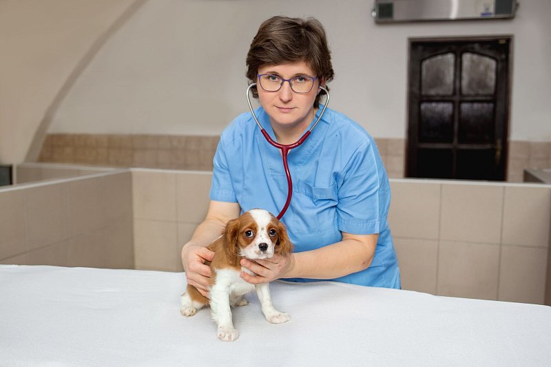 Puppy health guarantee